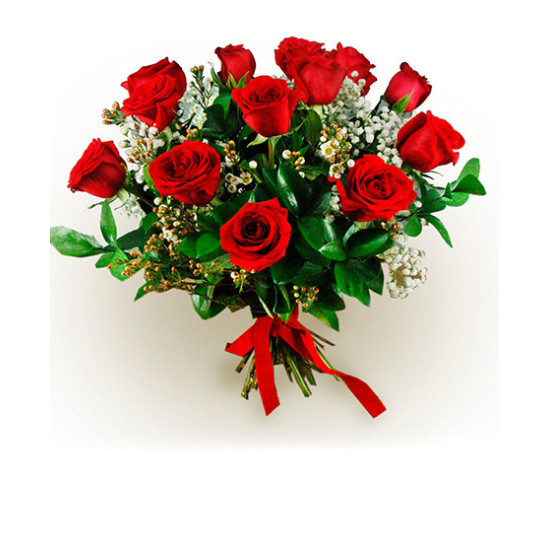 Rosas Dos Docenas