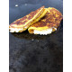 Cachapas de jojoto criollo de Mercedes Oropeza Cachapas de jojoto criollo de Mercedes Oropeza