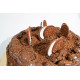 Tortin de Oreo de Paulas Cake Tortin de Oreo de Paulas Cake