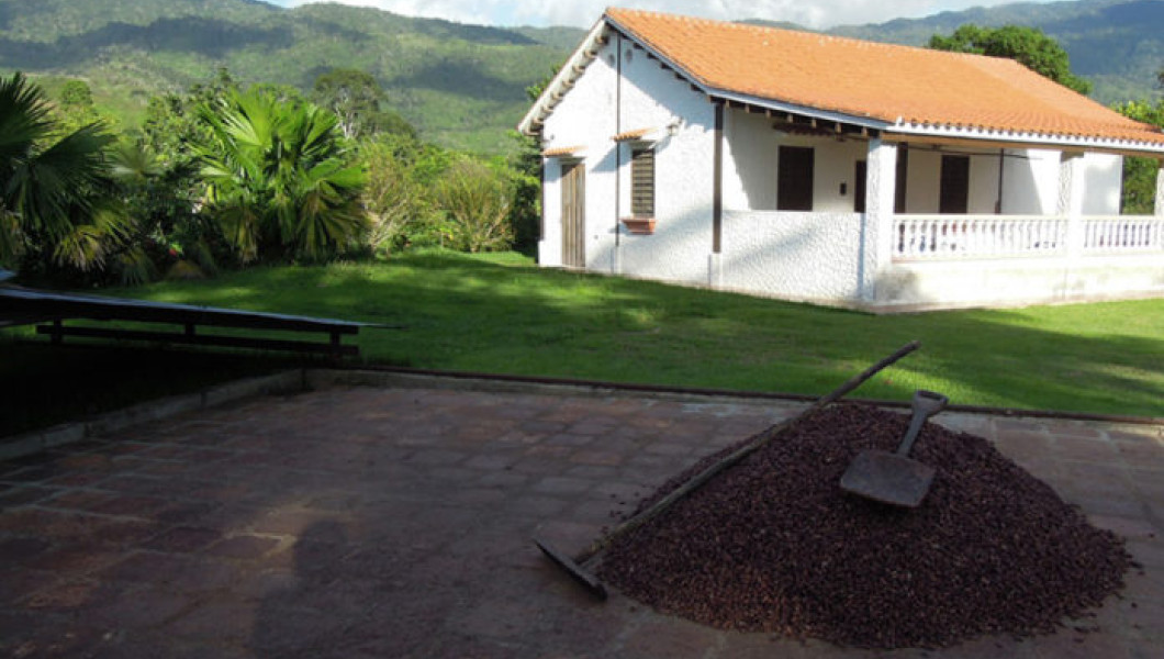 Chocolate Canoabo: Viaje del cacao a las tabletas